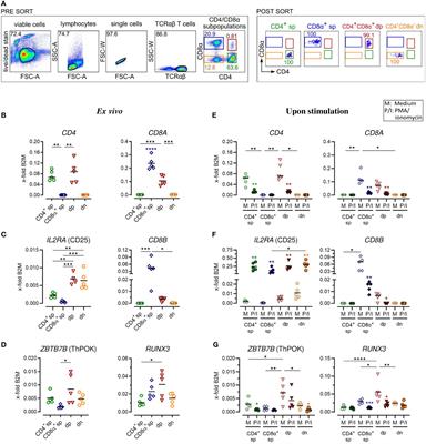 Canine peripheral non-conventional TCRαβ+ CD4-CD8α- double-negative T cells show T helper 2-like and regulatory properties